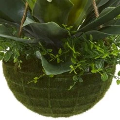13" Agave & Maidenhair Plant In Hanging Basket -Michaels D251641S 13