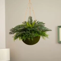 13" Cycas Plant In Mossy Hanging Basket -Michaels D251642S 12