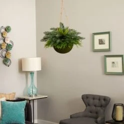 13" Cycas Plant In Mossy Hanging Basket -Michaels D251642S 13