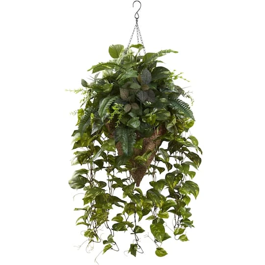 3ft. Mixed Green Vines In Cone Hanging Basket 4 3ft. Mixed Green Vines In Cone Hanging Basket - Image 2
