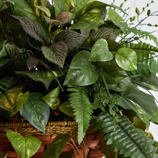 3ft. Mixed Green Vines In Cone Hanging Basket 9 3ft. Mixed Green Vines In Cone Hanging Basket - Image 7