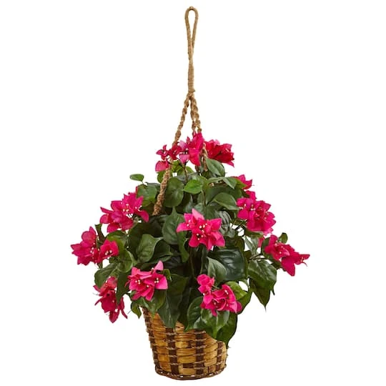 23" Bougainvillea In Hanging Basket 3 23" Bougainvillea In Hanging Basket
