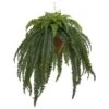 50” Giant Boston Fern In Hanging Cone Basket 2 50” Giant Boston Fern In Hanging Cone Basket -Michaels D251654S 11