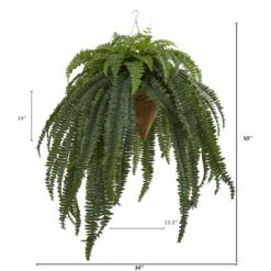 50” Giant Boston Fern In Hanging Cone Basket -Michaels D251654S 12