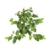 24” Pothos Hanging Bush, 3ct. -Michaels D251656S 11