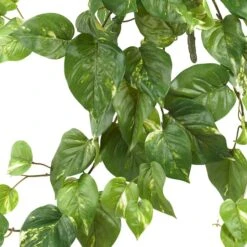 24” Pothos Hanging Bush, 3ct. -Michaels D251656S 12