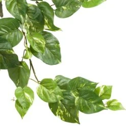 24” Pothos Hanging Bush, 3ct. -Michaels D251656S 13