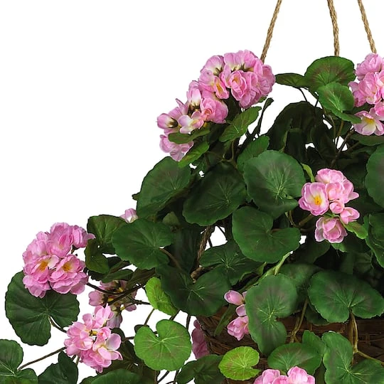 24" Pink Geranium In Hanging Basket 5 24" Pink Geranium In Hanging Basket - Image 3