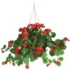 24" Red Geranium In Hanging Basket -Michaels D251660S 11