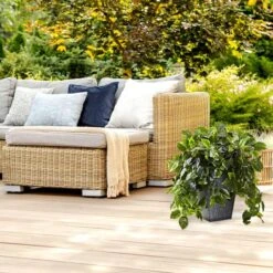 2.5ft. Hanging Pothos With Slate Planter -Michaels D251663S 14