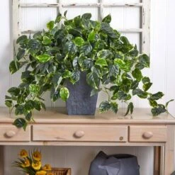 2.5ft. Hanging Pothos With Slate Planter -Michaels D251663S 15