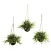 9'' Eucalyptus, Maiden Hair & Berry Hanging Basket, 3ct. -Michaels D251666S 1