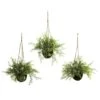 9'' Mini Ruscus, Sedum & Asparagus Fern Hanging Basket, 3ct. -Michaels D251668S 1