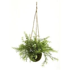 9'' Mini Ruscus, Sedum & Asparagus Fern Hanging Basket, 3ct. -Michaels D251668S 2