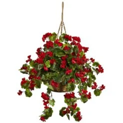 2.5ft. Geranium Hanging Basket