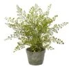 13" Maiden Hair Artificial Plant In Decorative Planter