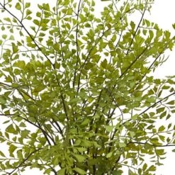 13" Maiden Hair Artificial Plant In Decorative Planter 8 13" Maiden Hair Artificial Plant In Decorative Planter -Michaels D251681S 12