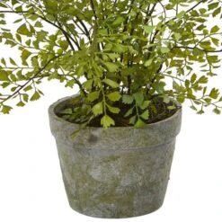 13" Maiden Hair Artificial Plant In Decorative Planter 9 13" Maiden Hair Artificial Plant In Decorative Planter -Michaels D251681S 13