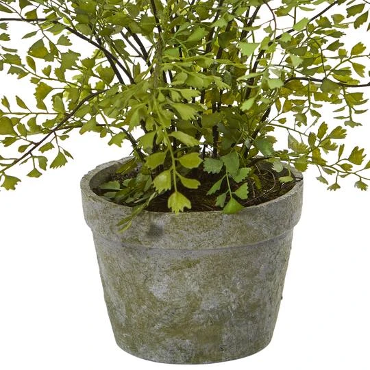 13" Maiden Hair Artificial Plant In Decorative Planter 6 13" Maiden Hair Artificial Plant In Decorative Planter - Image 4