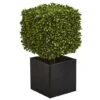 27" Boxwood Artificial Plant In Black Planter 2 27" Boxwood Artificial Plant In Black Planter -Michaels D251694S 11