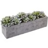 13.5" Succulent Garden With Textured Concrete Planter 1 13.5" Succulent Garden With Textured Concrete Planter -Michaels D251695S 11