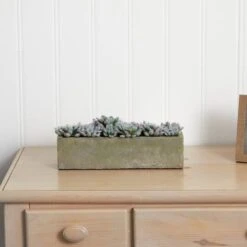 13.5" Succulent Garden With Textured Concrete Planter -Michaels D251695S 16