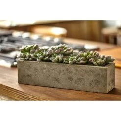 13.5" Succulent Garden With Textured Concrete Planter -Michaels D251695S 17