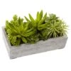 13" Succulent Garden With Concrete Planter -Michaels D251700S 11