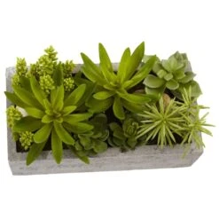 13" Succulent Garden With Concrete Planter -Michaels D251700S 12