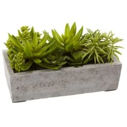 13" Succulent Garden With Concrete Planter -Michaels D251700S 13