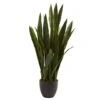 3ft. Snake Plant With Black Planter 1 3ft. Snake Plant With Black Planter -Michaels D251704S 11