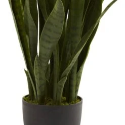 3ft. Snake Plant With Black Planter -Michaels D251704S 13