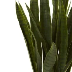 3ft. Snake Plant With Black Planter -Michaels D251704S 14