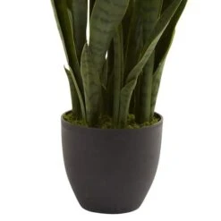3ft. Snake Plant With Black Planter -Michaels D251704S 15