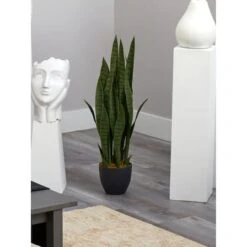 3ft. Snake Plant With Black Planter -Michaels D251704S 16