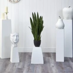 3ft. Snake Plant With Black Planter -Michaels D251704S 18