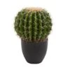 14" Potted Artificial Cactus -Michaels D251713S 11