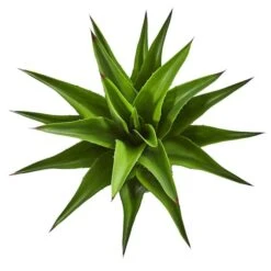30" Potted Agave Plant -Michaels D251718S 2