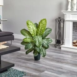 3ft. Potted Dieffenbachia Plant -Michaels D251722S 14