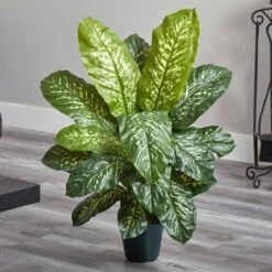3ft. Potted Dieffenbachia Plant -Michaels D251722S 15