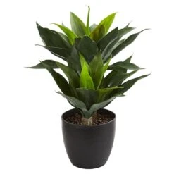 21in. Potted Agave Plant -Michaels D251728S 1 1