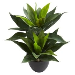 21in. Potted Agave Plant -Michaels D251728S 3