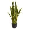 26in. Potted Sansevieria Plant -Michaels D251730S 11