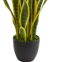 26in. Potted Sansevieria Plant -Michaels D251730S 13