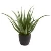 2ft. Potted Aloe Plant -Michaels D251732S 11