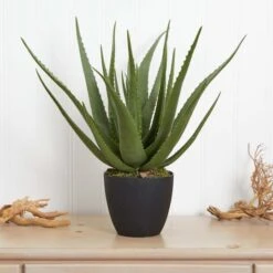 2ft. Potted Aloe Plant -Michaels D251732S 14