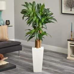 5ft. Cornstalk Dracaena Plant In White Tower Planter -Michaels D251738S 12
