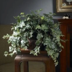 18" Potted Puff Ivy -Michaels D251761S 2
