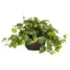 15" Potted Pothos Plant 2 15" Potted Pothos Plant -Michaels D251765S 11