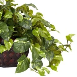 15" Potted Pothos Plant -Michaels D251765S 12